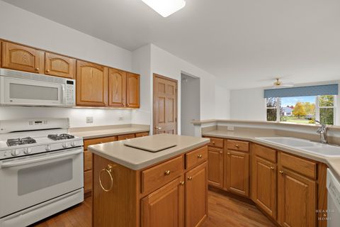 Tiny photo for 13116 Eakin Creek Court, Huntley, IL 60142 (MLS # 12521777)