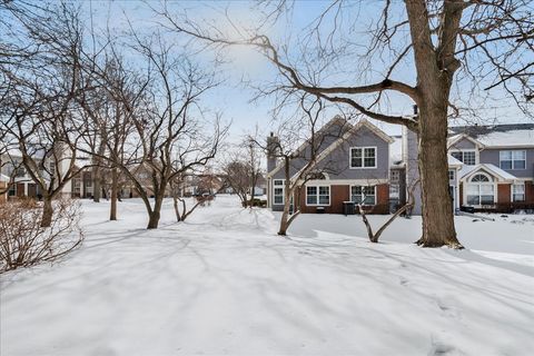 Tiny photo for Schaumburg, IL 60193 (MLS # 12540785)