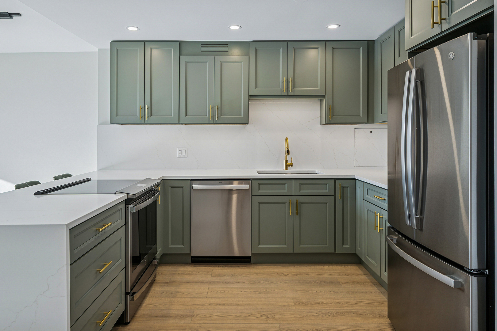 555 W Cornelia Avenue 1204