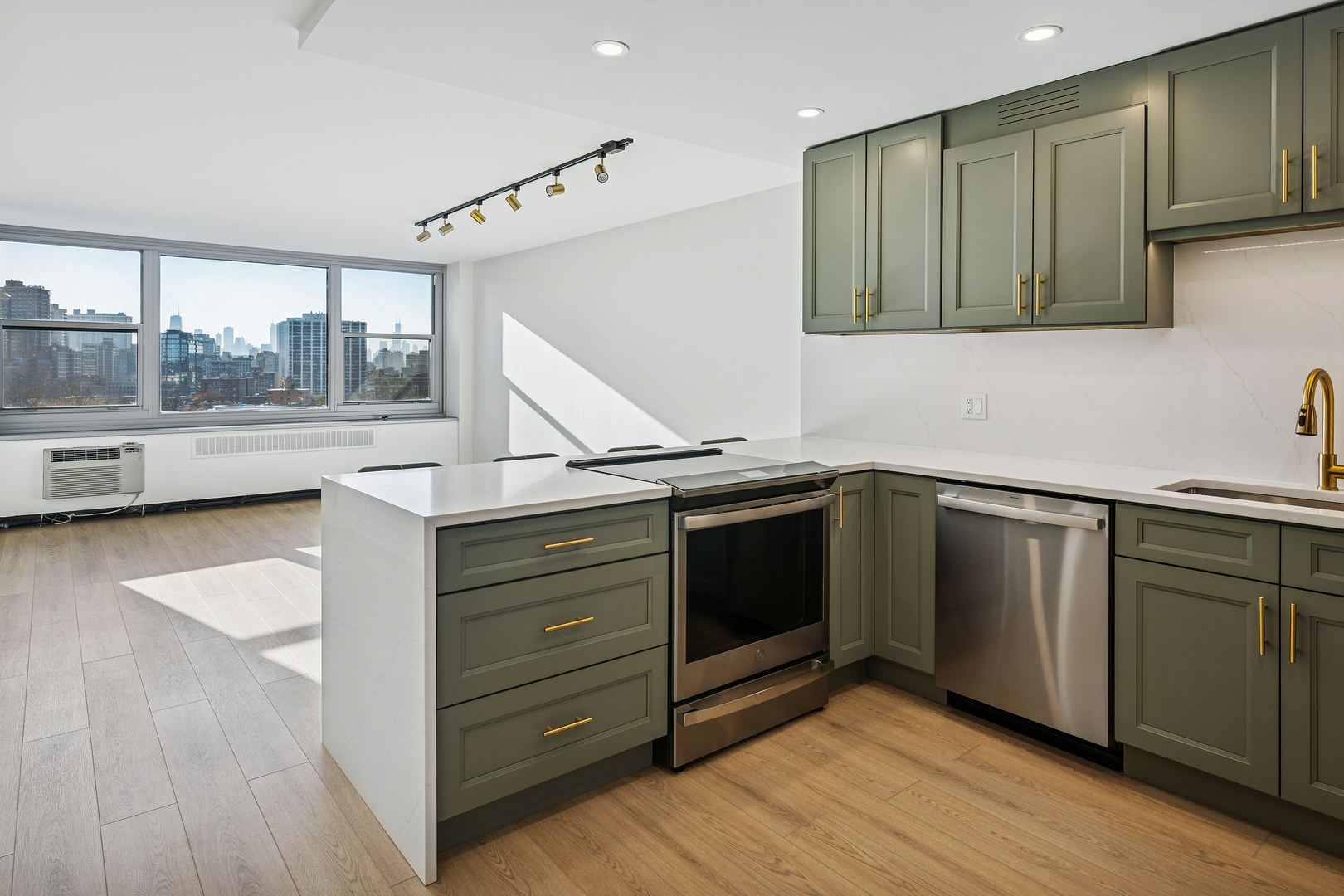 555 W Cornelia Avenue 1204