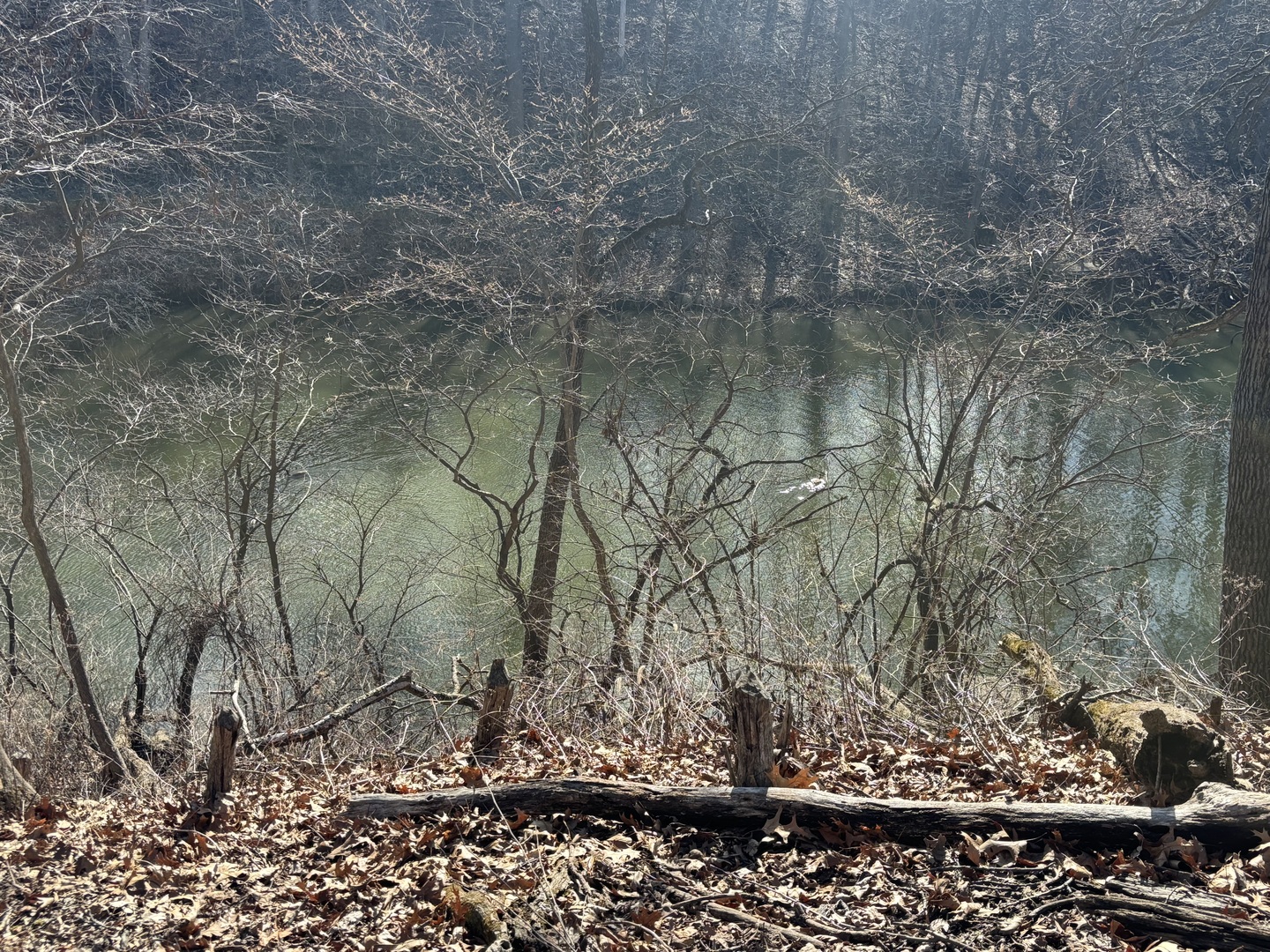 1641 Tanglewood Drive