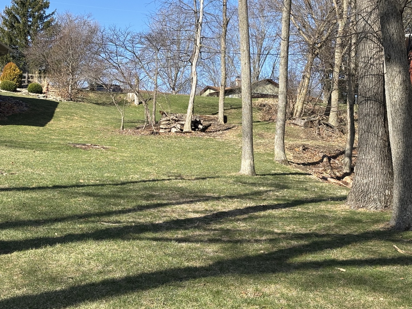 1641 Tanglewood Drive