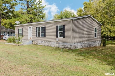 Tiny photo for 344 N Seba Street, Hurst, IL 62949 (MLS # EB459836)