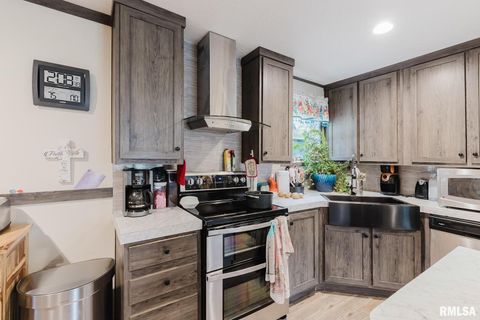 Tiny photo for 344 N Seba Street, Hurst, IL 62949 (MLS # EB459836)