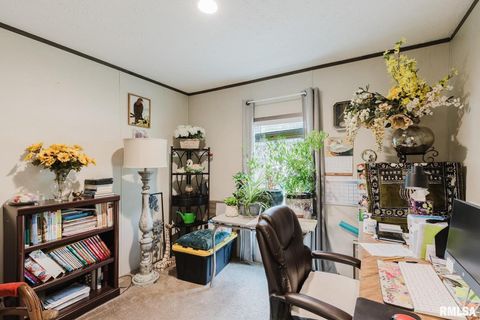 Tiny photo for 344 N Seba Street, Hurst, IL 62949 (MLS # EB459836)