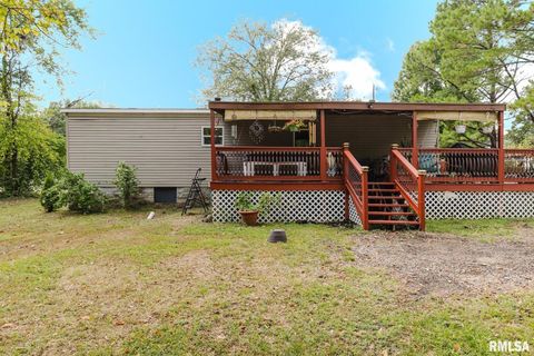 Tiny photo for 344 N Seba Street, Hurst, IL 62949 (MLS # EB459836)