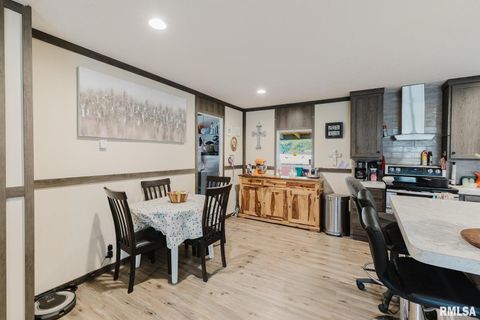 Tiny photo for 344 N Seba Street, Hurst, IL 62949 (MLS # EB459836)