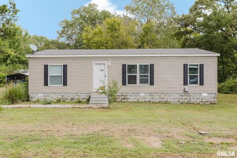 Photo of 344 N Seba Street, Hurst, IL 62949 (MLS # EB459836)