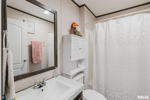 Tiny photo for 344 N Seba Street, Hurst, IL 62949 (MLS # EB459836)