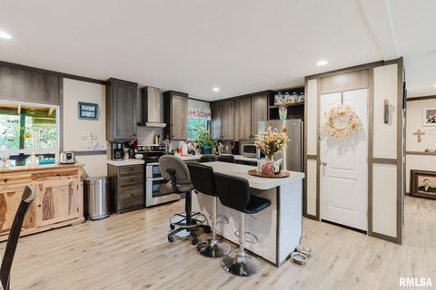 Tiny photo for 344 N Seba Street, Hurst, IL 62949 (MLS # EB459836)