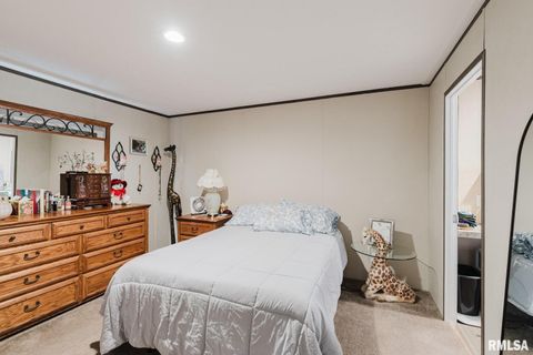 Tiny photo for 344 N Seba Street, Hurst, IL 62949 (MLS # EB459836)