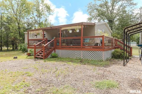 Tiny photo for 344 N Seba Street, Hurst, IL 62949 (MLS # EB459836)
