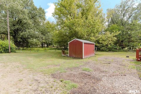 Tiny photo for 344 N Seba Street, Hurst, IL 62949 (MLS # EB459836)