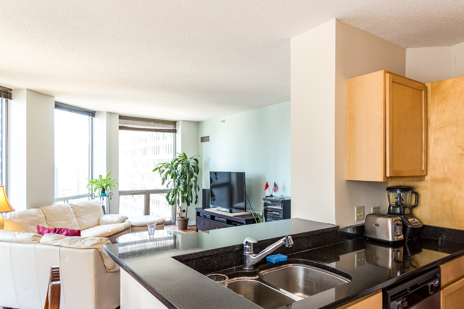 222 N COLUMBUS Drive 1602