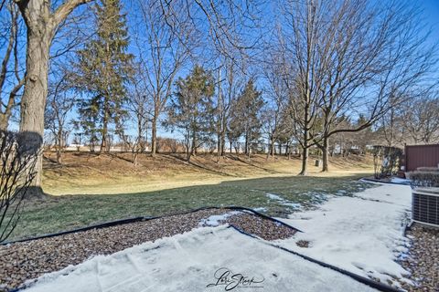 Tiny photo for 10804 CANTERBURY Drive, Mokena, IL 60448 (MLS # 12556355)