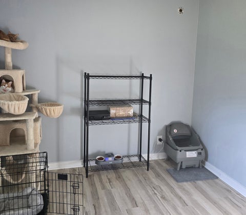 Tiny photo for 124 N Office Street, Braidwood, IL 60408 (MLS # 12660662)