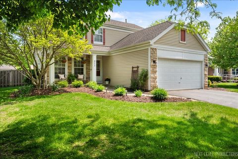 311 Mayfair Lane South Elgin IL 60177