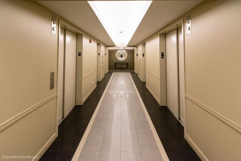 Tiny photo for 512 N MCCLURG Court #1509, Chicago, IL 60611 (MLS # 12508423)