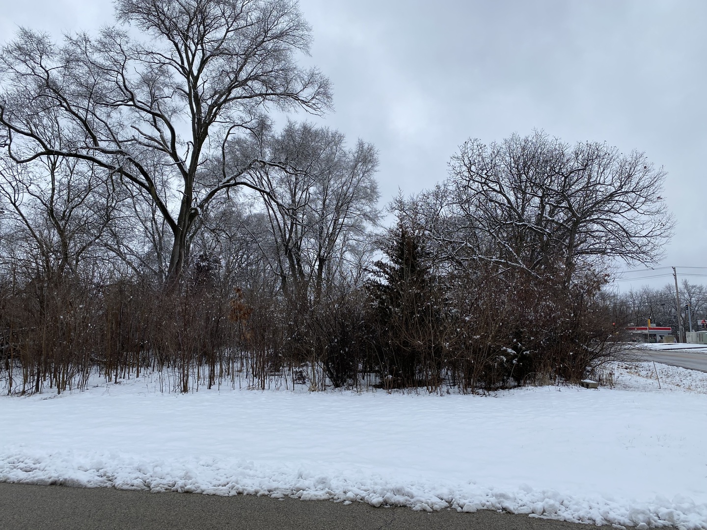 411 N Lily Lake Road