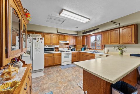 Tiny photo for 303 Jefferson Street, New Boston, IL 61272 (MLS # 12567246)