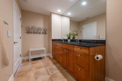 Tiny photo for 2272 S Archer Avenue #8E, Chicago, IL 60616 (MLS # 12719829)