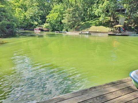 Tiny photo for 11 Chairtree Court, Putnam, IL 61560 (MLS # 12672140)