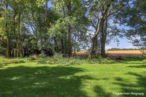 Tiny photo for 1809 Elm Street, Spring Grove, IL 60081 (MLS # 12746399)