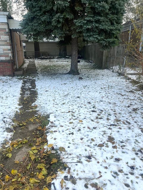 Tiny photo for 4601 W 82nd Street, Chicago, IL 60652 (MLS # 12568732)