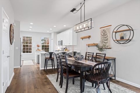 Tiny photo for 287 Lionel Drive, Grayslake, IL 60030 (MLS # 12520087)