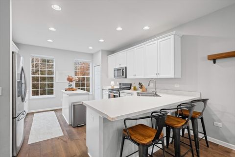 Tiny photo for 287 Lionel Drive, Grayslake, IL 60030 (MLS # 12520087)