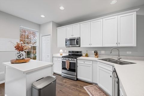 Tiny photo for 287 Lionel Drive, Grayslake, IL 60030 (MLS # 12520087)