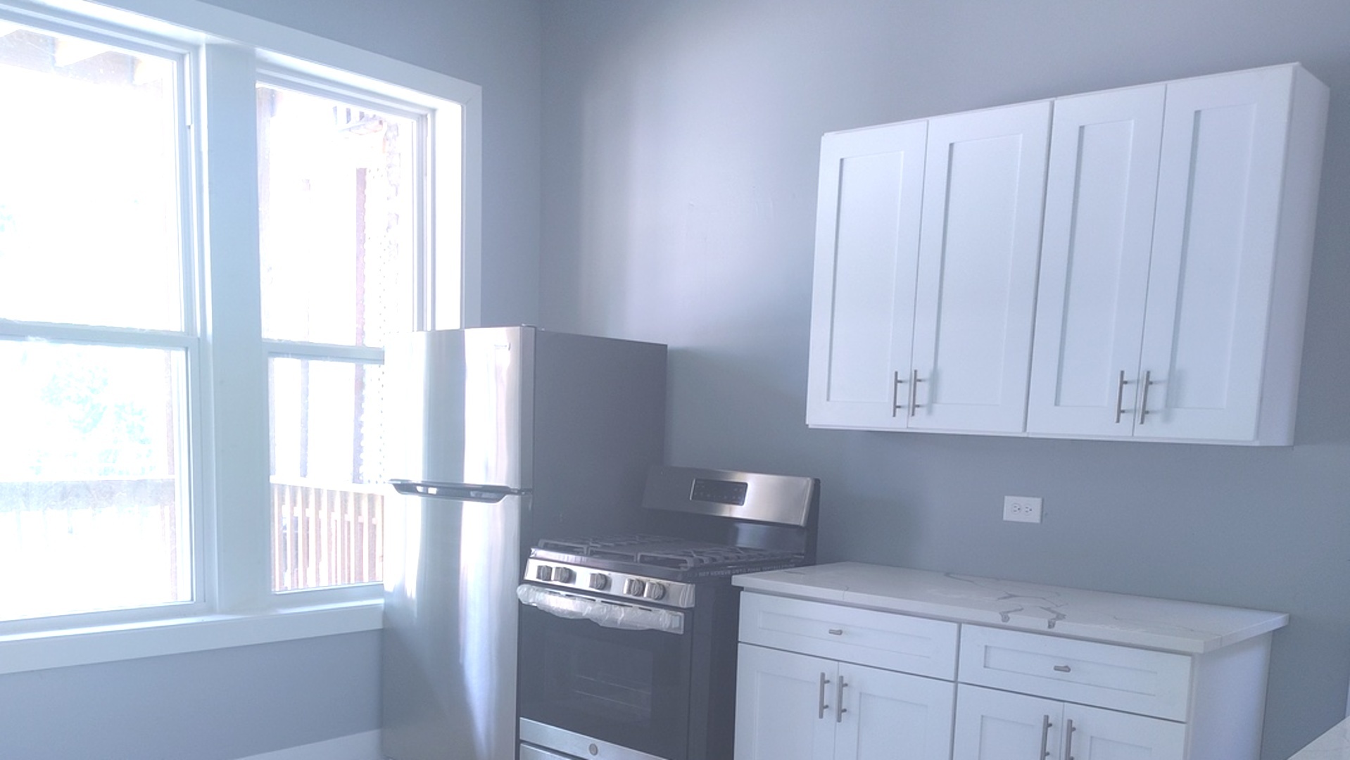 1661 S Homan Avenue garden