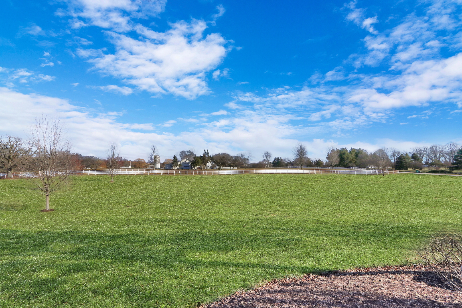 37274 N Black Velvet Lane