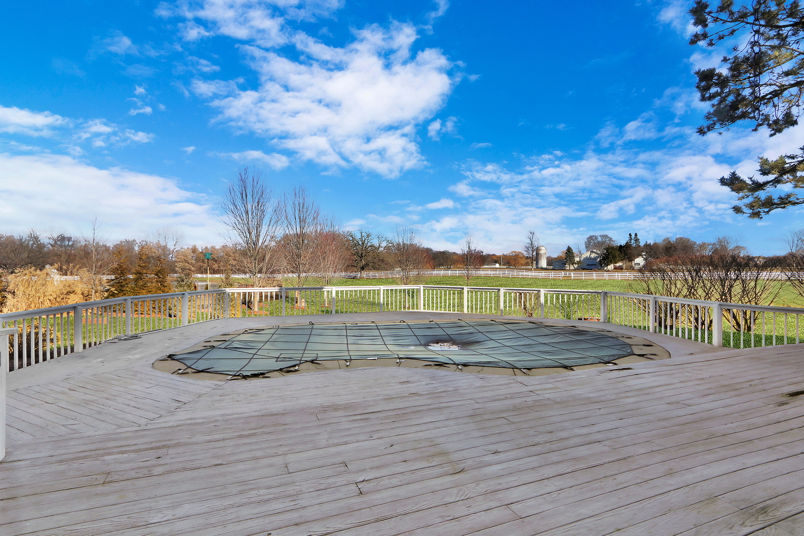 37274 N Black Velvet Lane