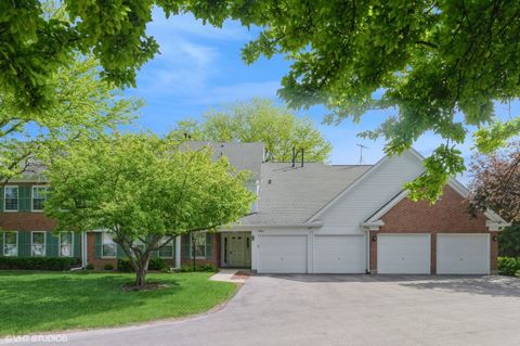 803 Persimmon Lane A Mount Prospect IL 60056