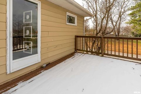 Tiny photo for 311 E Baggott Street, Zeigler, IL 62999 (MLS # EB460741)