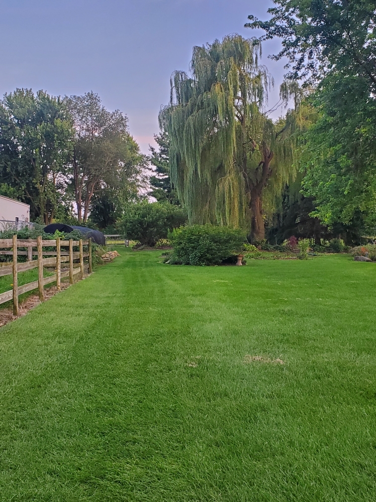 12421 Olson Road