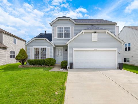 289 W Daisy Circle Romeoville IL 60446