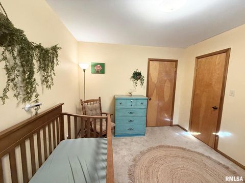 Tiny photo for 11730 KEVIN Lane, Carterville, IL 62918 (MLS # QC4269267)