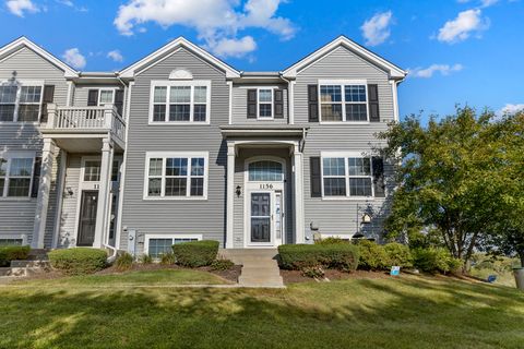 1156 Piccolo Lane Volo IL 60073