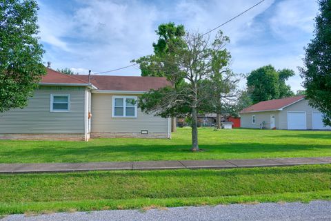 Tiny photo for 602 W Ray Avenue, Christopher, IL 62822 (MLS # 12670291)