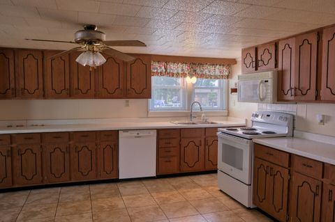 Tiny photo for 602 W Ray Avenue, Christopher, IL 62822 (MLS # 12670291)