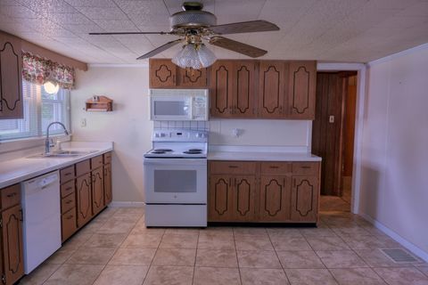 Tiny photo for 602 W Ray Avenue, Christopher, IL 62822 (MLS # 12670291)