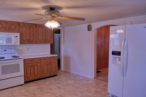 Tiny photo for 602 W Ray Avenue, Christopher, IL 62822 (MLS # 12670291)