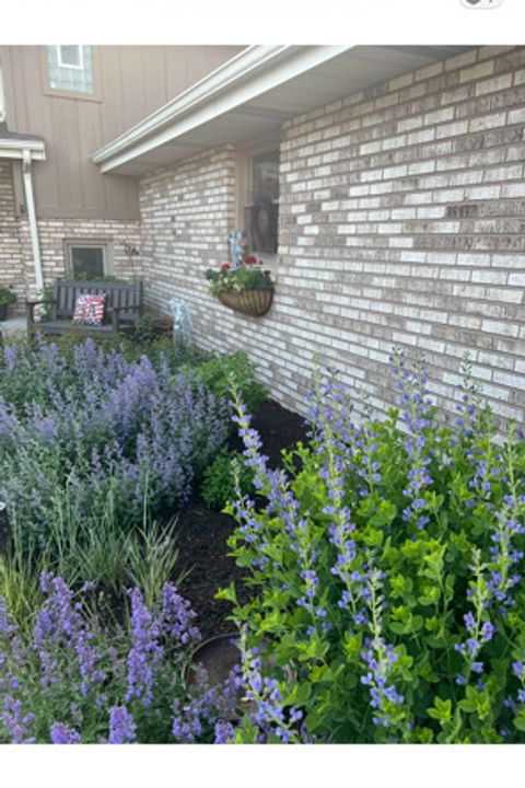 Tiny photo for 19838 Patricia Lane, Mokena, IL 60448 (MLS # 12535654)