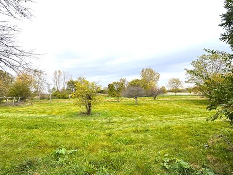 Tiny photo for 37150 S Macks Road, Custer Park, IL 60481 (MLS # 12528752)