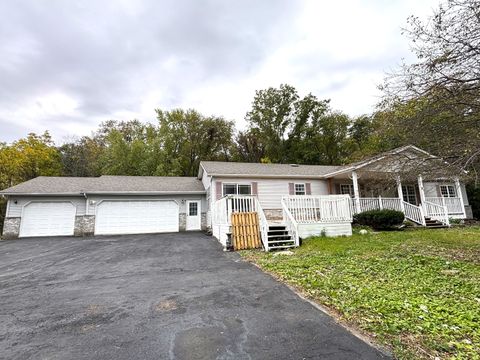 Photo of 37150 S Macks Road, Custer Park, IL 60481 (MLS # 12528752)