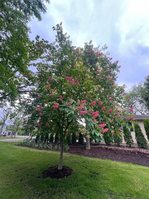 Tiny photo for 14942 W Rockland Road, Libertyville, IL 60048 (MLS # 12623352)