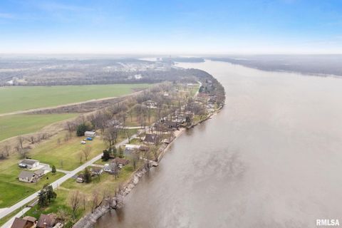 Tiny photo for 21812 N RIVER Road, Cordova, IL 61242 (MLS # QC4253644)