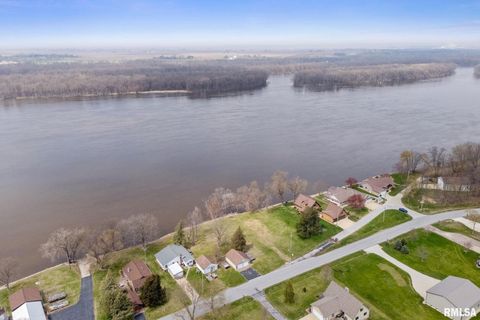 Tiny photo for 21812 N RIVER Road, Cordova, IL 61242 (MLS # QC4253644)